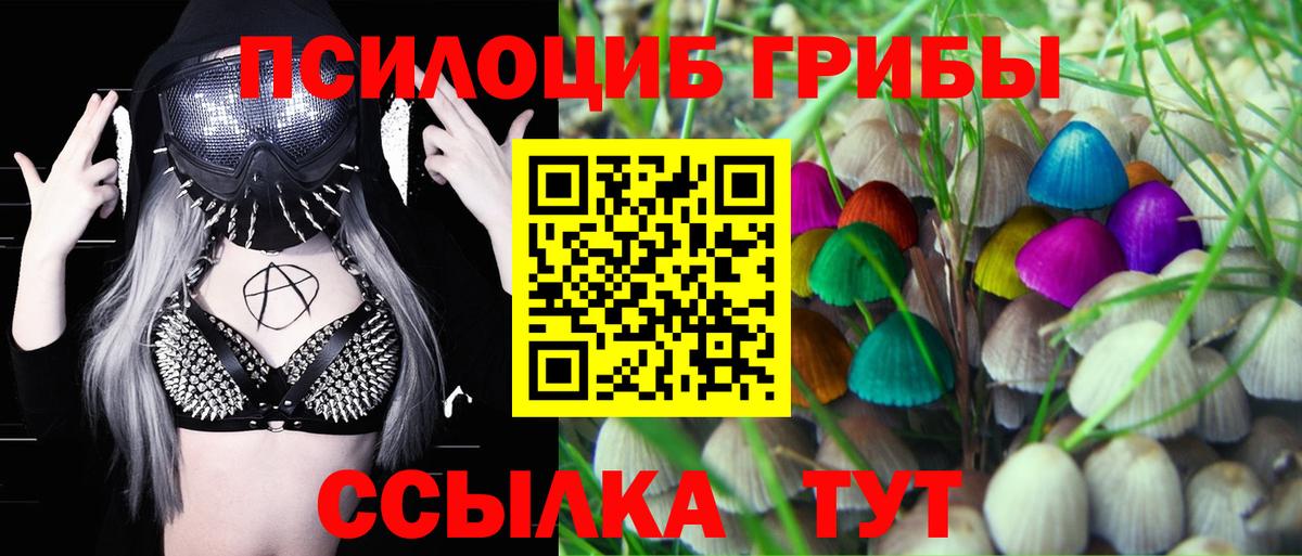 Галлюциногенные грибы Magic Shrooms Тельмана